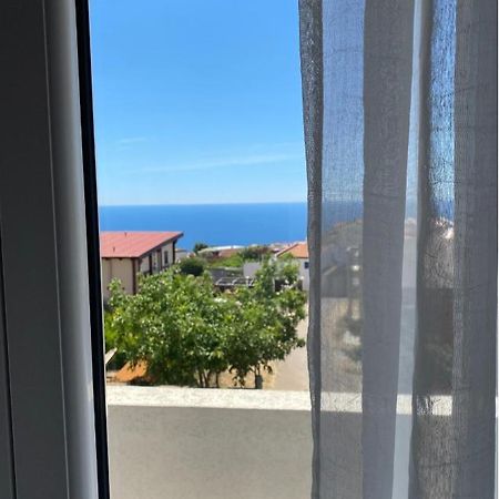 Apartments Wild Beauty - Krimovica Budva Exterior photo